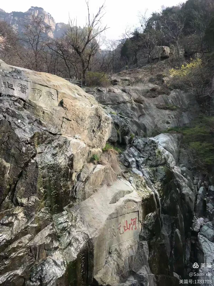 泰山之旅